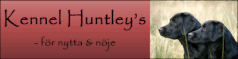 huntleys_banner
