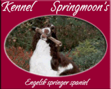 springmoons_banner