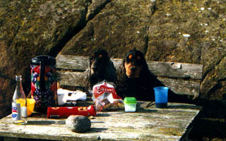 Hr var det picknick vid havet... 