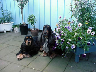 Gibson & Timmy april 2002